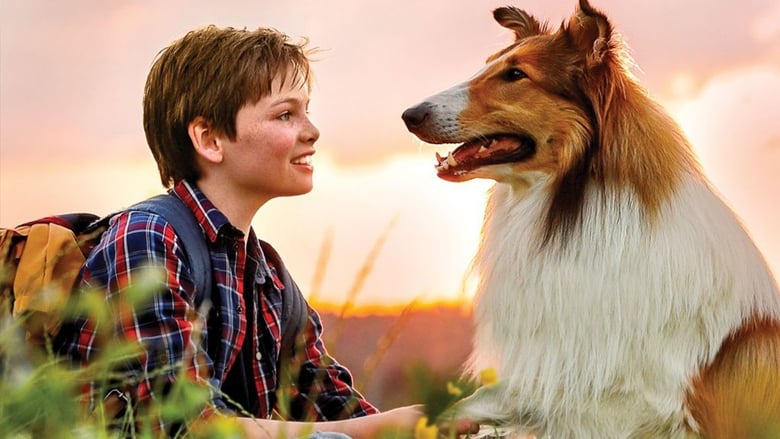 Lassie : La route de l’aventure