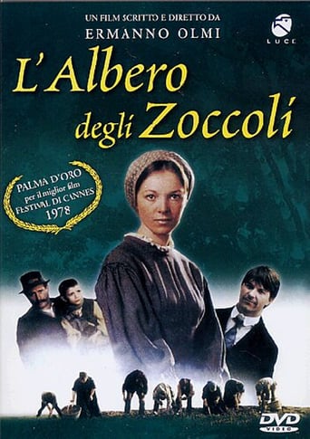 L’albero degli zoccoli